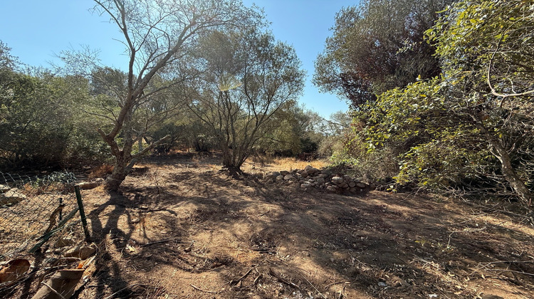 Ma-Cabane - Vente Terrain Porto-Vecchio, 1440 m²