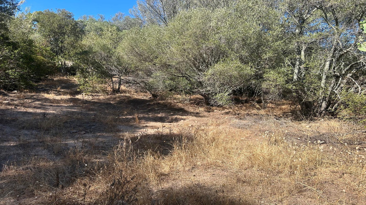 Ma-Cabane - Vente Terrain Porto-Vecchio, 1440 m²