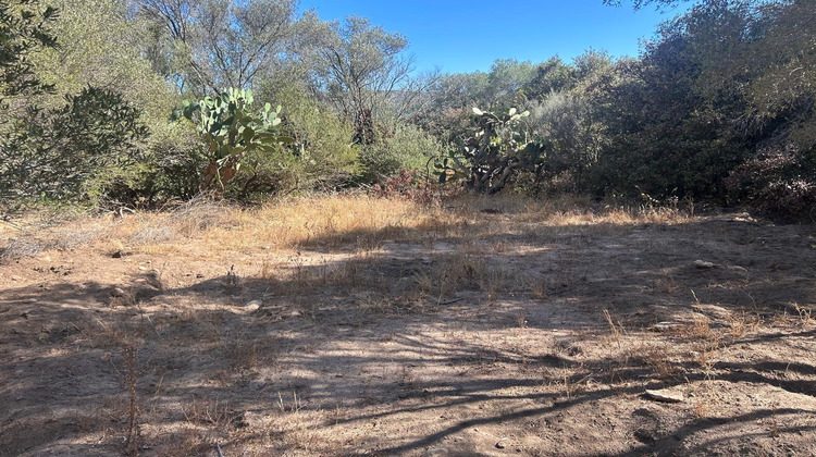 Ma-Cabane - Vente Terrain Porto-Vecchio, 1440 m²