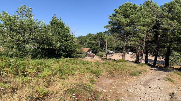 Ma-Cabane - Vente Terrain Porto-Vecchio, 201 m²