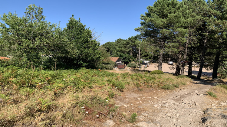 Ma-Cabane - Vente Terrain Porto-Vecchio, 201 m²