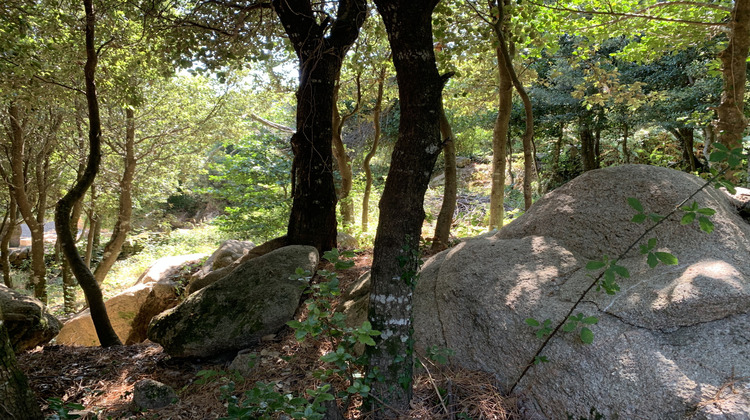 Ma-Cabane - Vente Terrain Porto-Vecchio, 495 m²