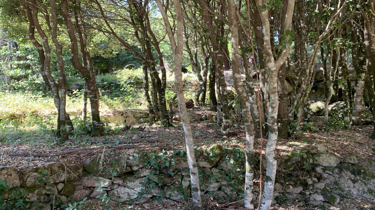Ma-Cabane - Vente Terrain Porto-Vecchio, 495 m²