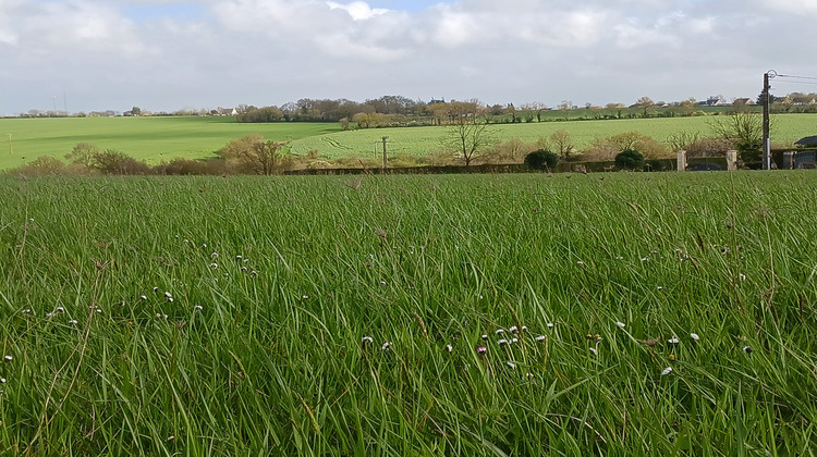 Ma-Cabane - Vente Terrain Pouillé-les-Côteaux, 521 m²