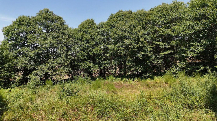 Ma-Cabane - Vente Terrain PRATS DE CARLUX, 4636 m²