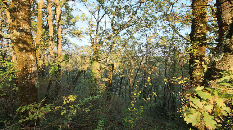 Ma-Cabane - Vente Terrain PRAYSSAC, 9856 m²