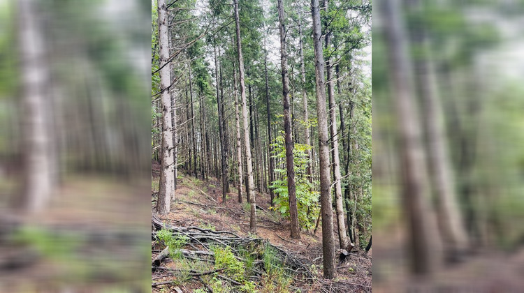 Ma-Cabane - Vente Terrain PREMIAN, 0 m²