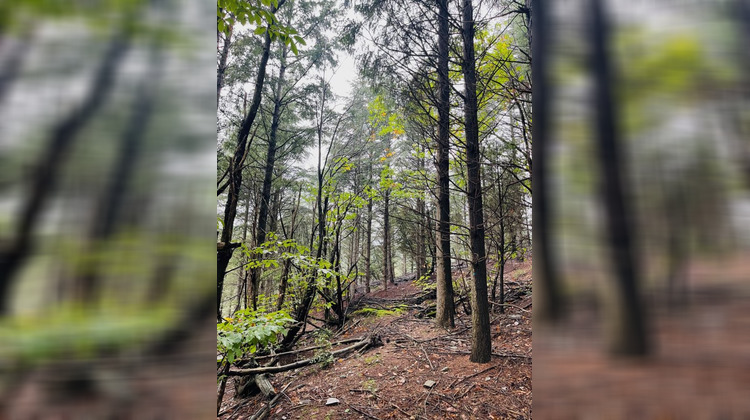 Ma-Cabane - Vente Terrain PREMIAN, 0 m²