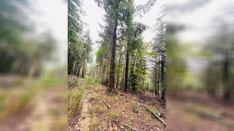 Ma-Cabane - Vente Terrain PREMIAN, 0 m²