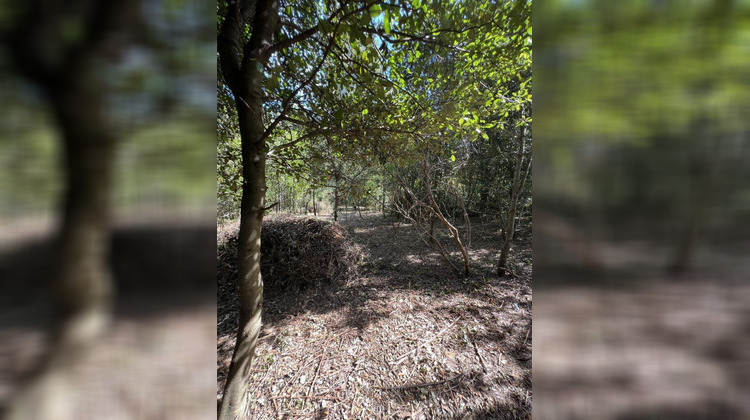 Ma-Cabane - Vente Terrain PREMIAN, 0 m²