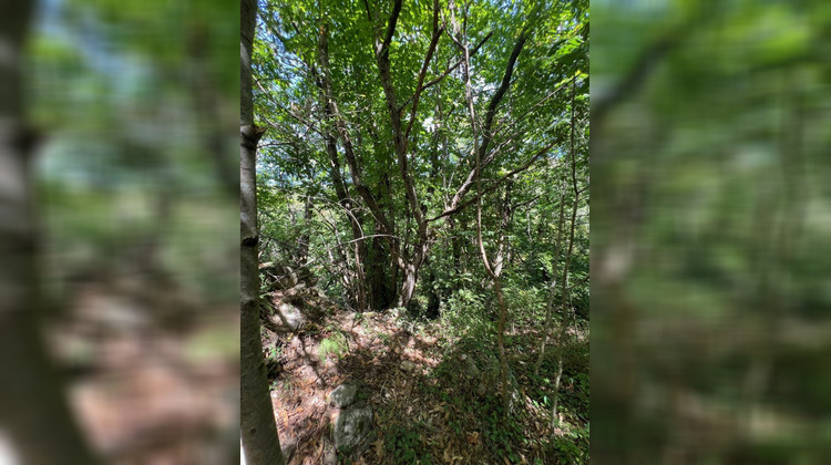 Ma-Cabane - Vente Terrain PREMIAN, 0 m²