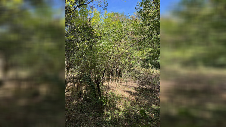 Ma-Cabane - Vente Terrain PREMIAN, 0 m²