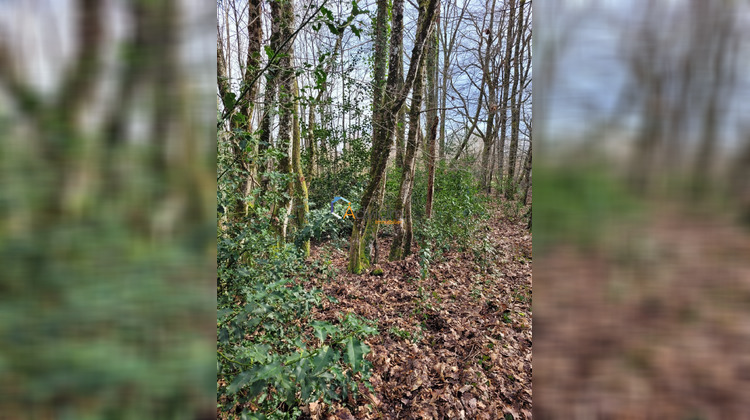 Ma-Cabane - Vente Terrain Presly, 7200 m²