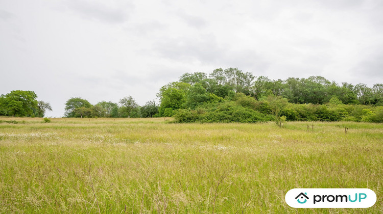 Ma-Cabane - Vente Terrain Prez, 1356 m²