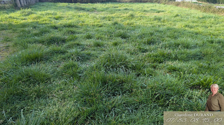 Ma-Cabane - Vente Terrain PRINQUIAU, 997 m²