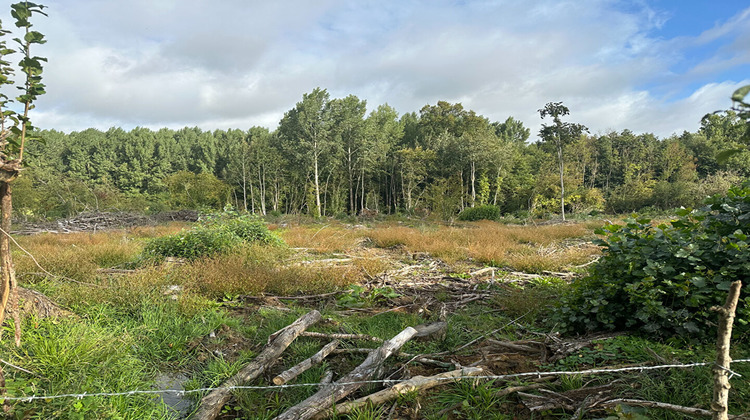 Ma-Cabane - Vente Terrain PRISCES, 5333 m²