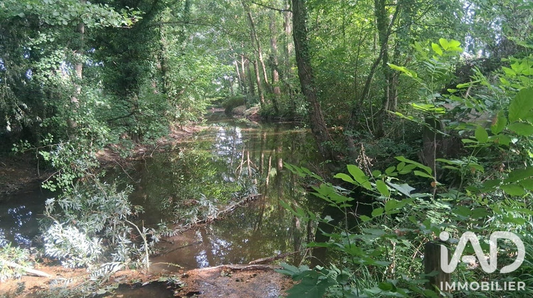 Ma-Cabane - Vente Terrain Prissé, 5500 m²