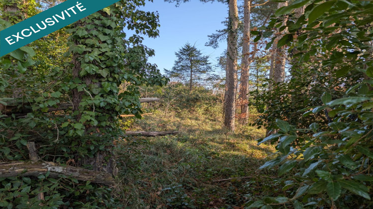 Ma-Cabane - Vente Terrain Privas, 3956 m²