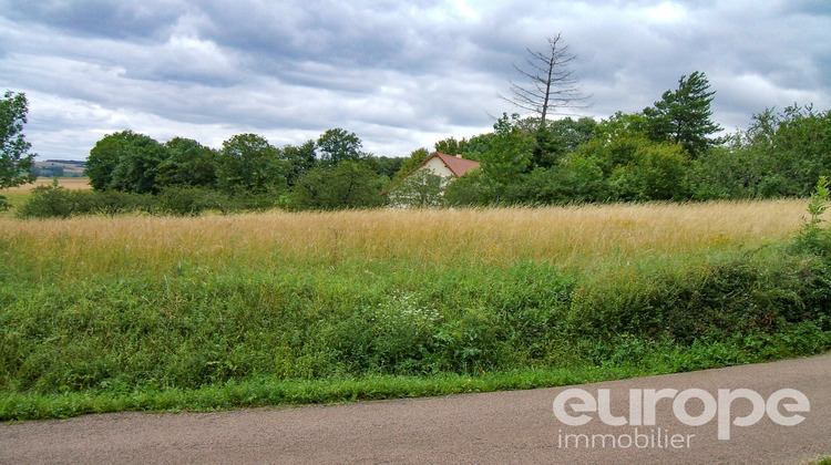 Ma-Cabane - Vente Terrain Provency, 2880 m²