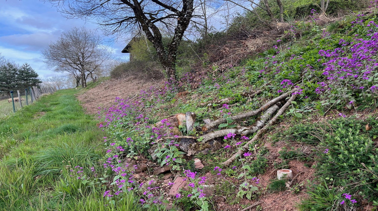 Ma-Cabane - Vente Terrain Pruines, 691 m²