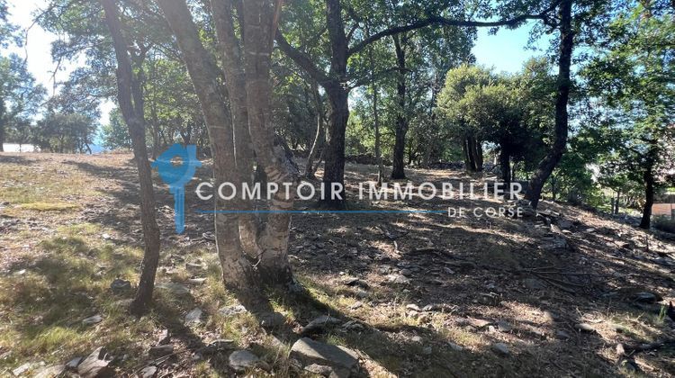 Ma-Cabane - Vente Terrain Prunelli-di-Fiumorbo, 1198 m²