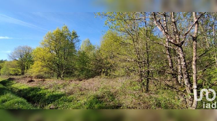 Ma-Cabane - Vente Terrain Pruniers-en-Sologne, 1983 m²