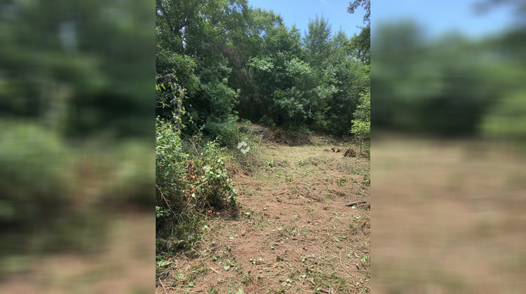 Ma-Cabane - Vente Terrain Pruno, 1212 m²