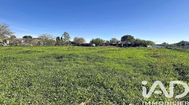 Ma-Cabane - Vente Terrain Puissalicon, 2480 m²