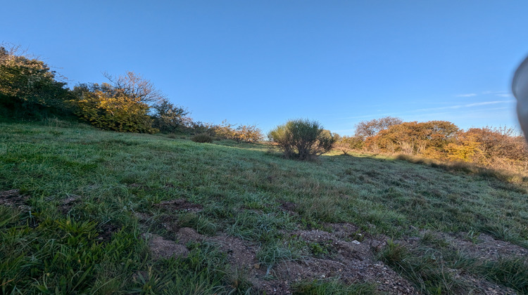 Ma-Cabane - Vente Terrain Puisserguier, 4771 m²