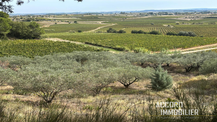 Ma-Cabane - Vente Terrain Puisserguier, 7400 m²