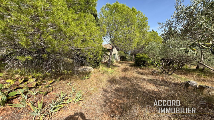 Ma-Cabane - Vente Terrain Puisserguier, 7400 m²