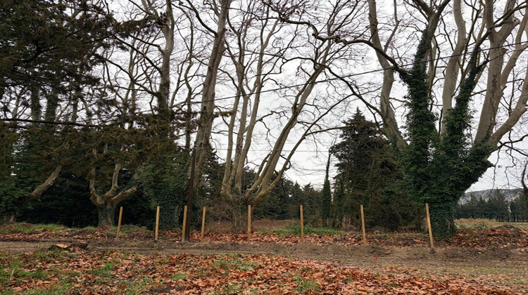 Ma-Cabane - Vente Terrain PUJAUT, 1682 m²