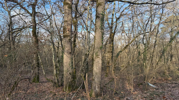 Ma-Cabane - Vente Terrain Pujols, 5633 m²