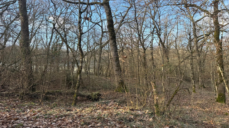 Ma-Cabane - Vente Terrain Pujols, 5633 m²