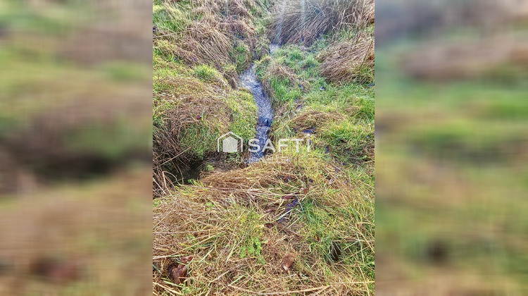 Ma-Cabane - Vente Terrain Pulligny, 9918 m²