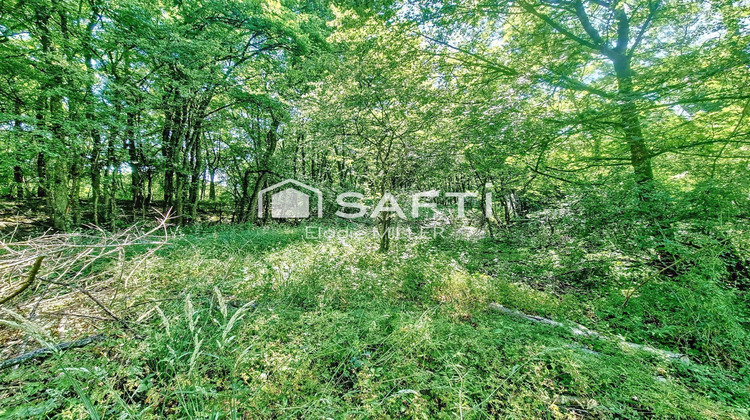 Ma-Cabane - Vente Terrain Pulligny, 9918 m²