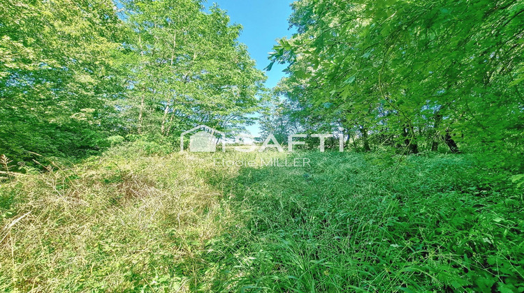 Ma-Cabane - Vente Terrain Pulligny, 9918 m²