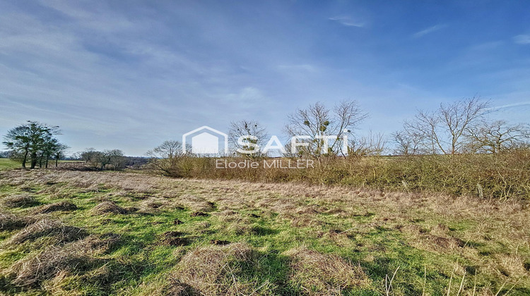 Ma-Cabane - Vente Terrain Pulligny, 7325 m²
