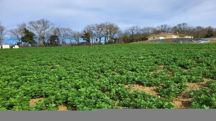 Ma-Cabane - Vente Terrain PUYCASQUIER, 1148 m²