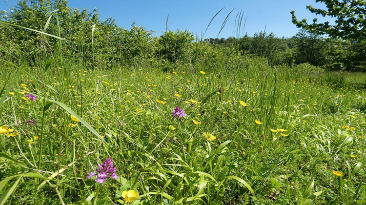 Ma-Cabane - Vente Terrain PUYLAROQUE, 2170 m²