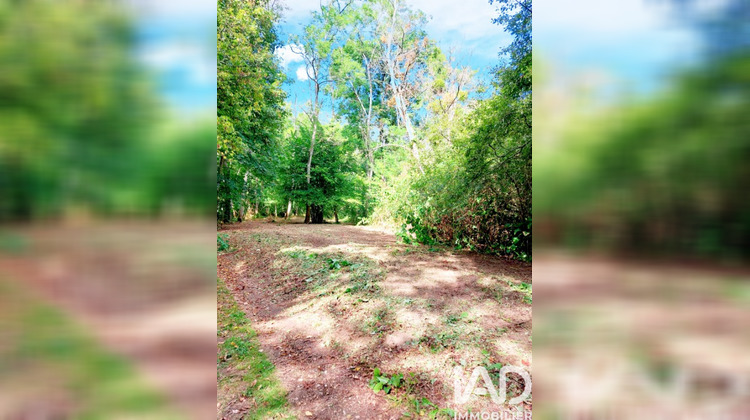 Ma-Cabane - Vente Terrain Queaux, 7548 m²