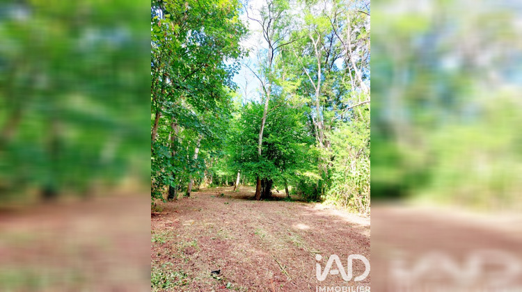 Ma-Cabane - Vente Terrain Queaux, 7548 m²