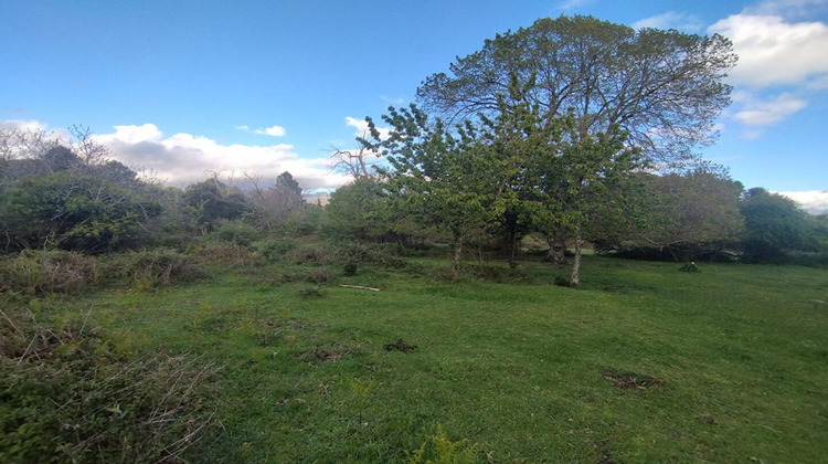 Ma-Cabane - Vente Terrain QUENZA, 3000 m²