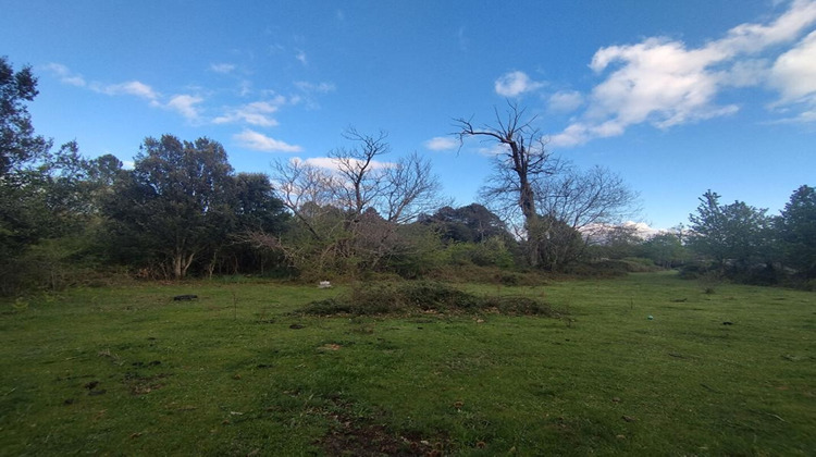 Ma-Cabane - Vente Terrain QUENZA, 3000 m²