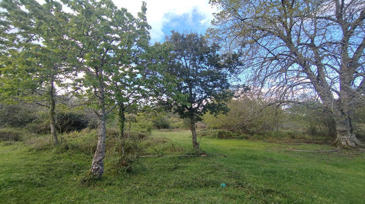 Ma-Cabane - Vente Terrain QUENZA, 3000 m²