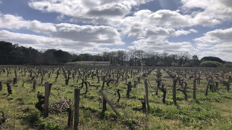 Ma-Cabane - Vente Terrain QUEYRAC, 0 m²