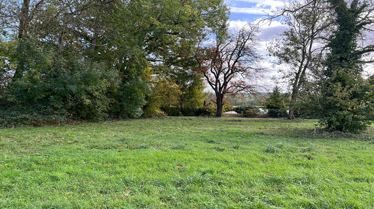 Ma-Cabane - Vente Terrain QUINCY-VOISINS, 663 m²