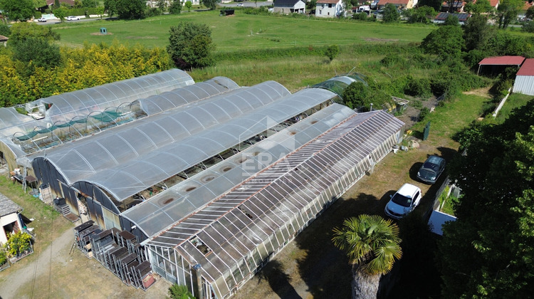 Ma-Cabane - Vente Terrain RABASTENS-DE-BIGORRE, 4000 m²