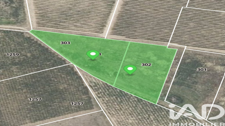 Ma-Cabane - Vente Terrain Raissac d Aude, 4810 m²