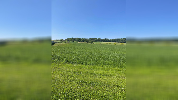 Ma-Cabane - Vente Terrain Rantzwiller, 1057 m²